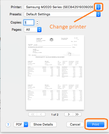paycheck print preview
